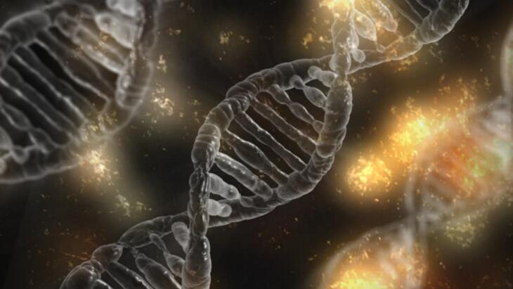 Illustrasjonsbilde DNA