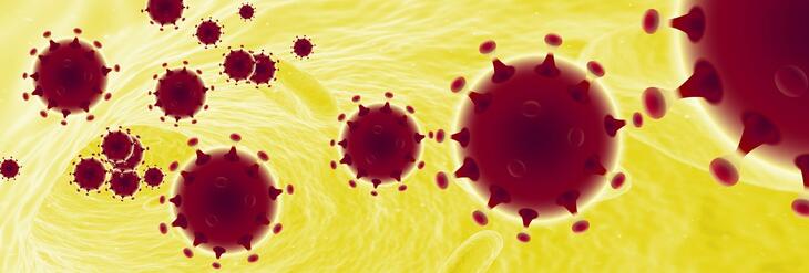 Illustrasjonsbilde av coronavirus